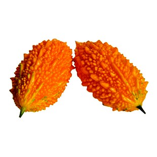 赖葡萄癞葡萄种子种籽 金铃子黄金瓜小癞瓜 苦瓜种子西瓜蔬菜种孑