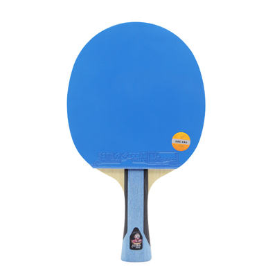 DHS红双喜乒乓球拍狂飙9彩色拍