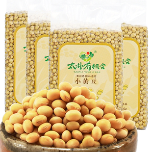 太朴有机会贵州迷你小黄豆老品种黑豆脐新黄豆农家自种打豆浆专用