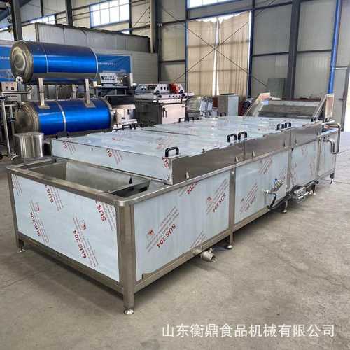 果蔬速冻前处理配套设备 连续式蒸煮漂烫机 全自动酱腌菜漂烫线