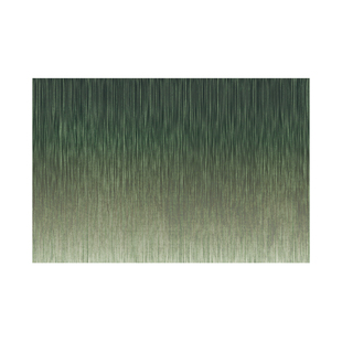 入户门地垫轻奢高级感复古地毯门垫进门门口防滑家用玄关脚垫耐脏