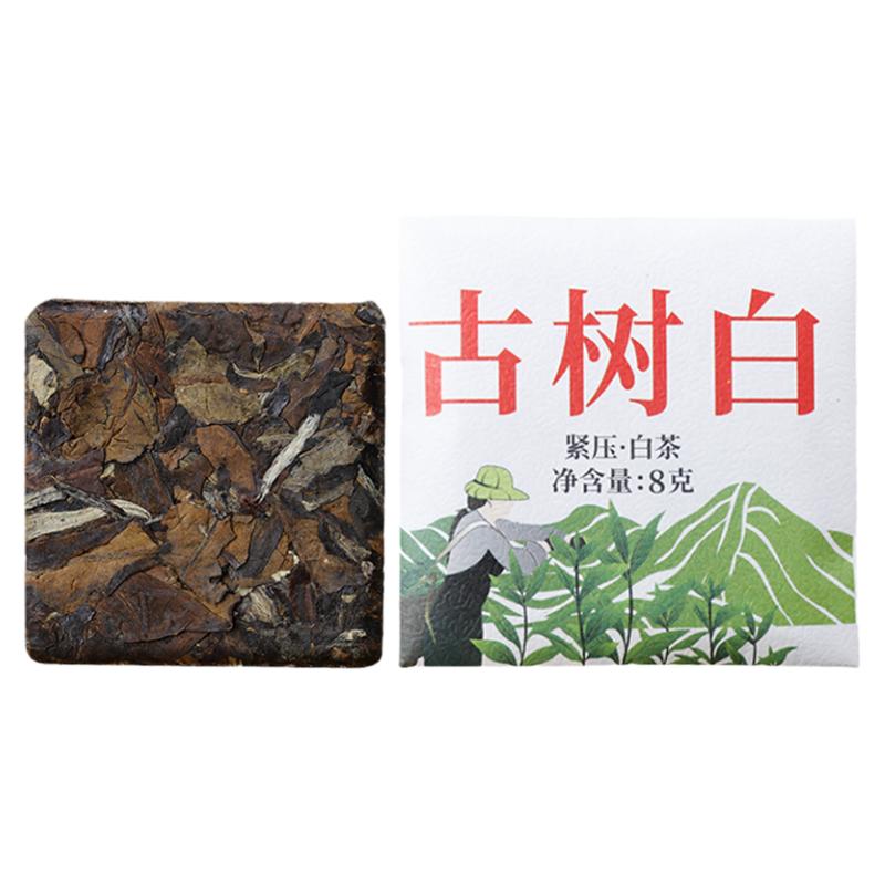 天波霖云南白茶古树白