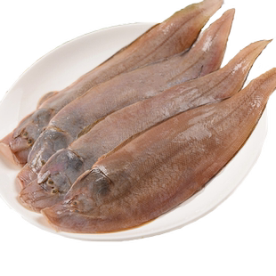 北海龙利鱼新鲜杀好深海鱼去鳞鳃去内脏踏板鱼宝宝食用冰鲜舌头鱼