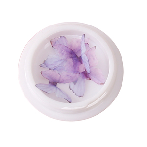 仿真蝴蝶贴脸面部眼角干花亮钻新娘装饰品儿童脸部贴花舞台妆拍照