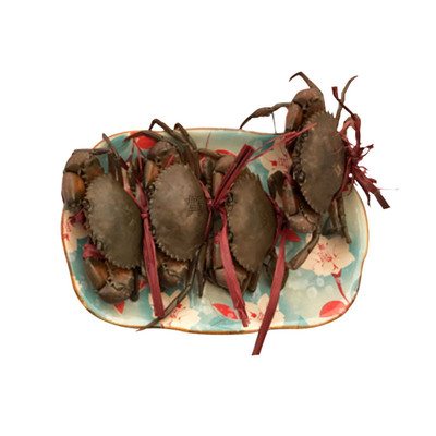 鲜活缅甸蟹特产孟加拉螃蟹青蟹胖哥俩肉蟹煲野生2斤8一10只包邮