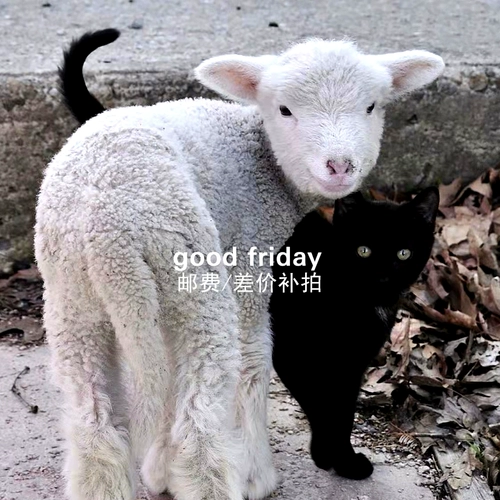 Ottolenghi  宸 宸   o   戞 戞 澶氩 皯 皯 皯 皯 皯 皯 皯