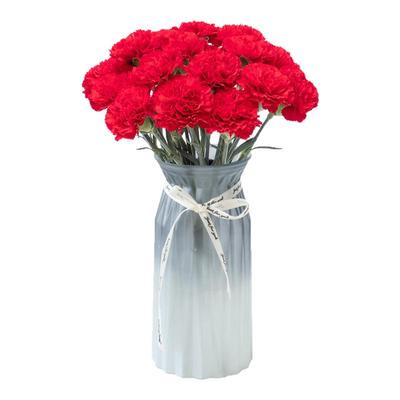 康乃馨鲜花家庭水养云南基地直发