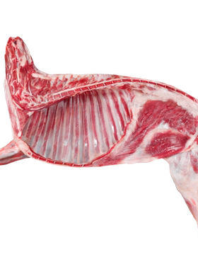 羊肉新鲜半只羊10斤乳羔羊生羊肉