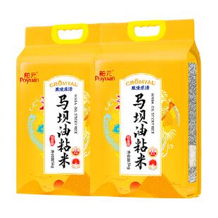舶元马坝油粘米2袋广东特产丝苗米软糯弹牙煲仔饭用籼米地标认证