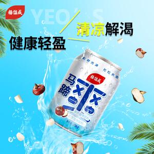 【夏天饮料】杨协成EC马蹄爽夏天解渴饮品228g网红饮品12罐装