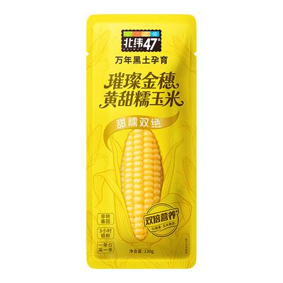 北纬47度黄甜糯东北玉米棒
