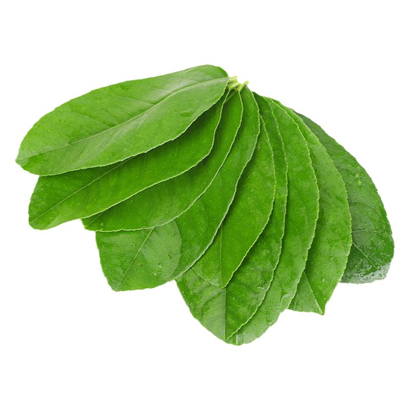 新鲜柠檬叶青柠叶西餐腌制香料