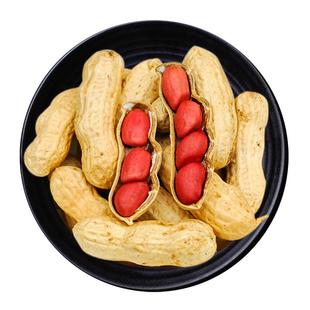 25年红皮花生米带壳新货四粒红花生米生晒干农家东北红皮花生500g