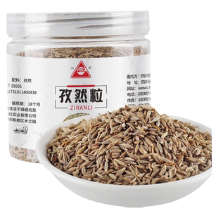 川珍 孜然粒料160g 烧烤撒料调料烤羊肉腌料火锅配料香味调料孜然