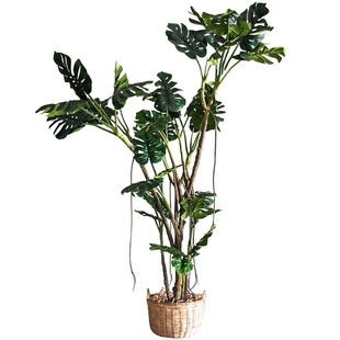 掬涵大型仿真绿植龟背竹植物造景室内客厅落地假树仿真树仿生盆景