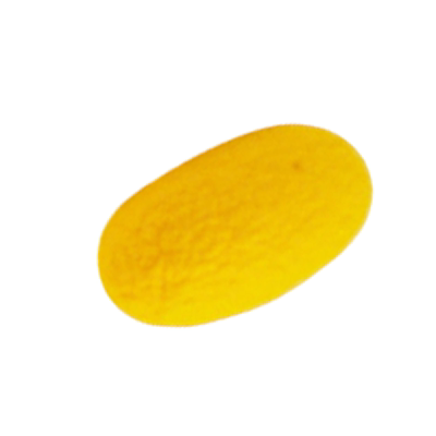 天然蚕茧逗猫棒幼猫自嗨解闷神器消耗体力啃咬耐咬猫咪玩具耐抓咬