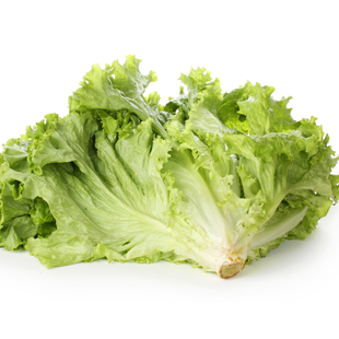 壹香 罗莎绿500g 新鲜绿叶花叶生菜生吃沙拉蔬菜烤肉食材轻食配菜