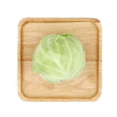 绿甘蓝苗子绿甘蓝秧苗四季蔬菜苗