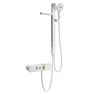 瑞尔特花洒淋浴套装无顶喷多功能按摩肩背喷洗澡沐浴器K22mini