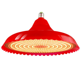 熟食灯LED生鲜灯卤味烧腊灯熟菜灯烧烤灯猪肉灯水果灯吊灯红黄光