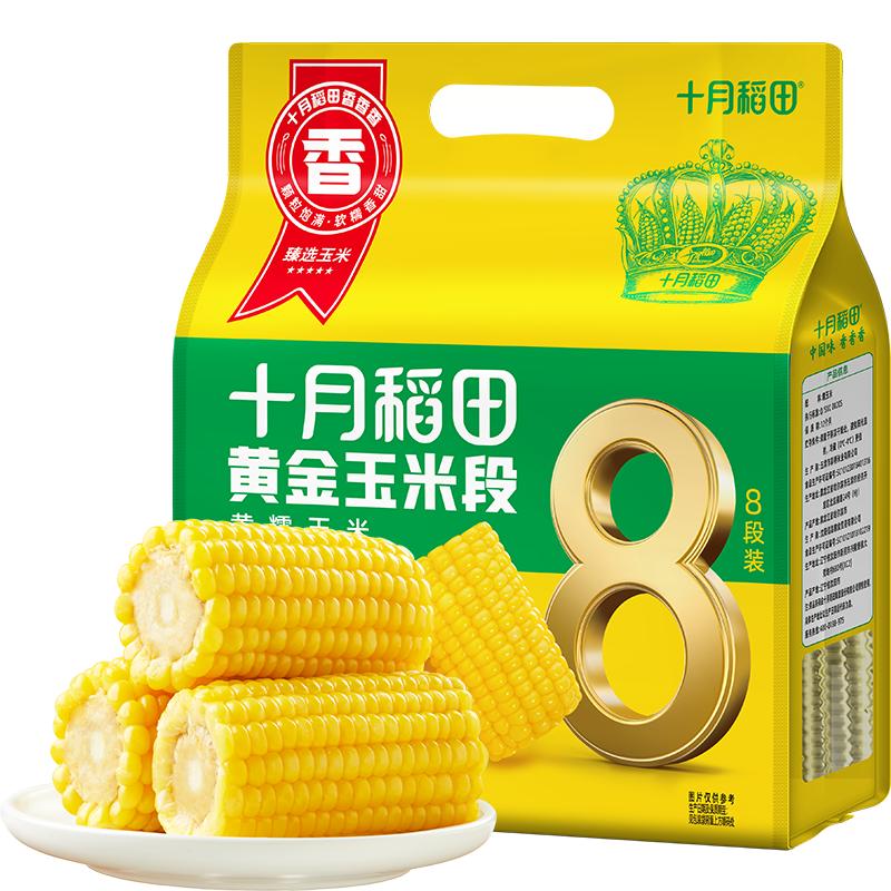 十月稻田非转基因黄金玉米段黄糯玉米东北黏糯玉米低脂早餐