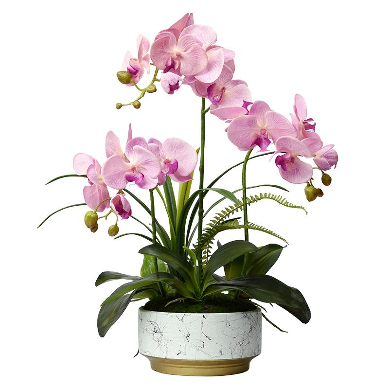 仿真花蝴蝶兰客厅餐桌高档花艺