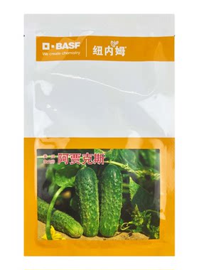 荷兰妞内姆进口水果黄瓜种子