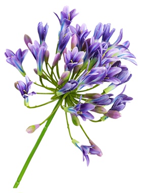 欧式高品质百子莲花艺绢花假花