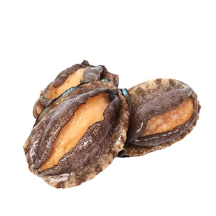 超大新鲜鲍鱼海鲜水产鲜活冻煮袋装特大活冻鲍鱼加热即食鲍汁捞饭