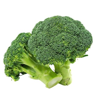 有机西兰花苗秧苗花椰菜苗青梗松花菜苗甘蓝苗西蓝花苔秋冬蔬菜苗