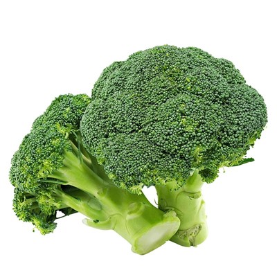 有机西蓝花苗秧苗花椰菜苗耐热