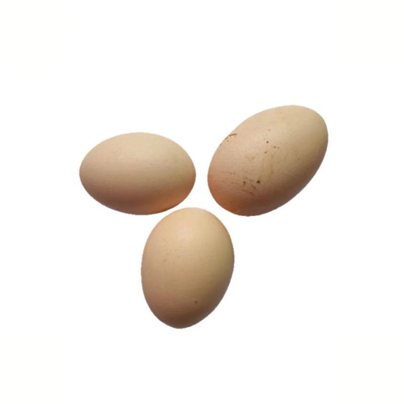 农家小鸡蛋老品种黄脚老母鸡无黑科技孕妇宝宝高营养辅食现捡现发