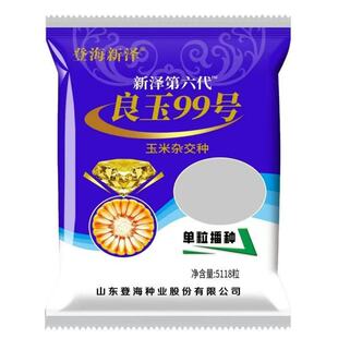 山东登海良玉99玉米种子5118粒第六代升级版密植抗倒伏红轴高产