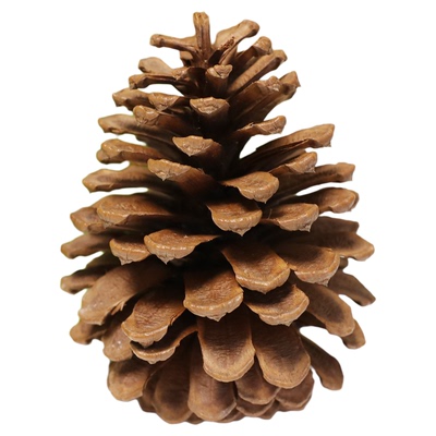 圣诞装饰品松果挂饰场景布置用品