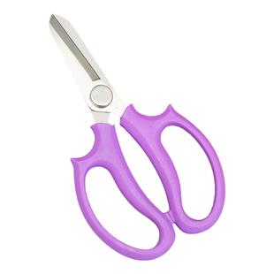 园艺师修剪鲜花花艺剪刀修枝剪家用剪刀修剪花店园艺专用修剪工具