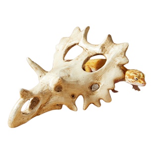 其鳞爬宠三角恐龙头骨躲避攀爬守宫爬宠缸造景侏罗纪睫角宠物蛇