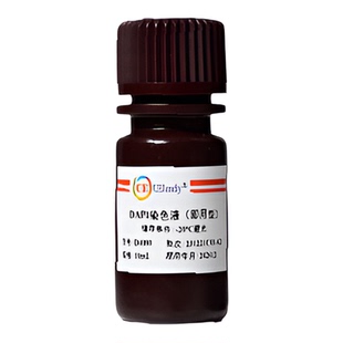 UElandy DAPI染色液 即用型 10mL 细胞核染色 高亮度 抗光漂白