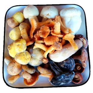 新鲜冰冻野生菌组合松茸鸡油菌牛肝菌谷熟菌奶浆菌青头菌商用菌菇