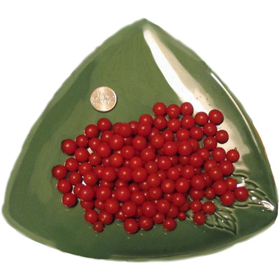 红醋栗甜豌豆小樱桃番茄种子