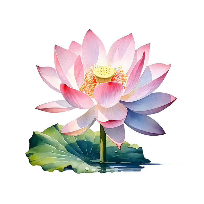 自粘防水荷花莲花墙贴浴室装饰贴纸简约现代家居背景墙贴画遮瑕贴