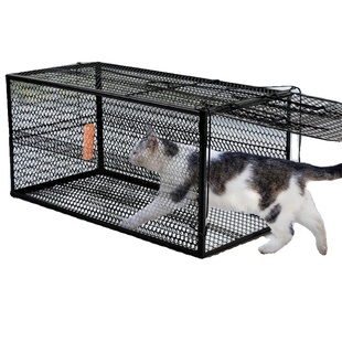 捕猫笼全自动抓猫神器捉猫器大号老鼠笼子逮扑野猫人道流浪猫野外
