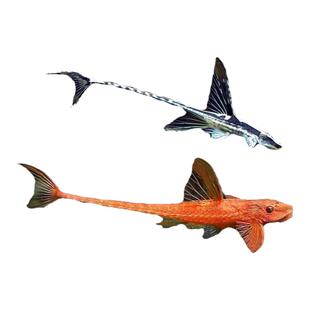 清道夫红蜻蜓直升机异型鱼胡子鱼大帆清缸除藻高端热带小型皇冠