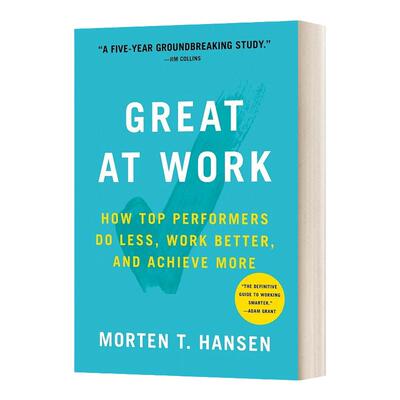 英文原版GreatAtWork工作卓越