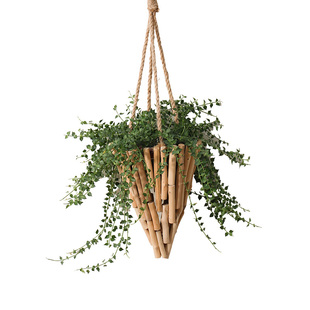 日式简约挂墙原木枝花盆墙上悬吊篮挂壁吊兰垂吊壁挂花瓶创意花篮