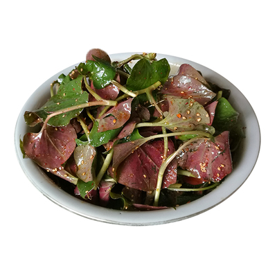 现挖四川折耳根鱼腥草叶子嫩叶