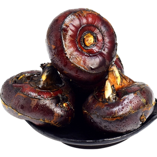 马蹄去皮刀 荸荠削皮刀 打盖刀瓜刨广西马蹄剥皮刀水果专用工具