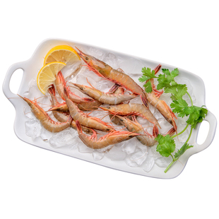 2斤舟山野生滑皮虾鲜活条虾新鲜海捕硬壳剑虾特大呛虾超大活皮虾