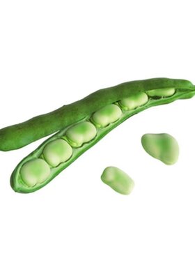 蚕豆种子特大高产糯米蚕豆种籽七星罗汉豆胡豆耐寒秋冬季蔬菜种孑