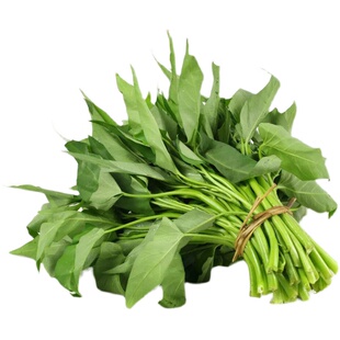 三叉空心菜苗大叶空心菜秧苗小柳叶白杆带根蔬菜盆栽四季阳台种子