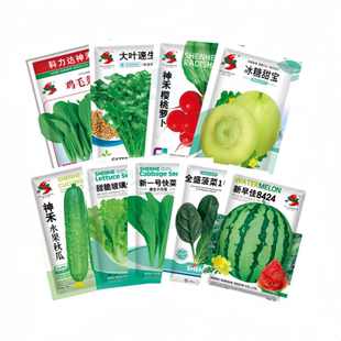 蔬菜种子四季播辣椒西瓜籽孑香菜春季蔬菜大全菠菜白菜四季豆番茄